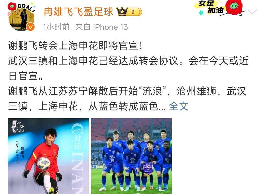 包含江苏苏宁阻止上海申花连胜，双方握手言和的词条